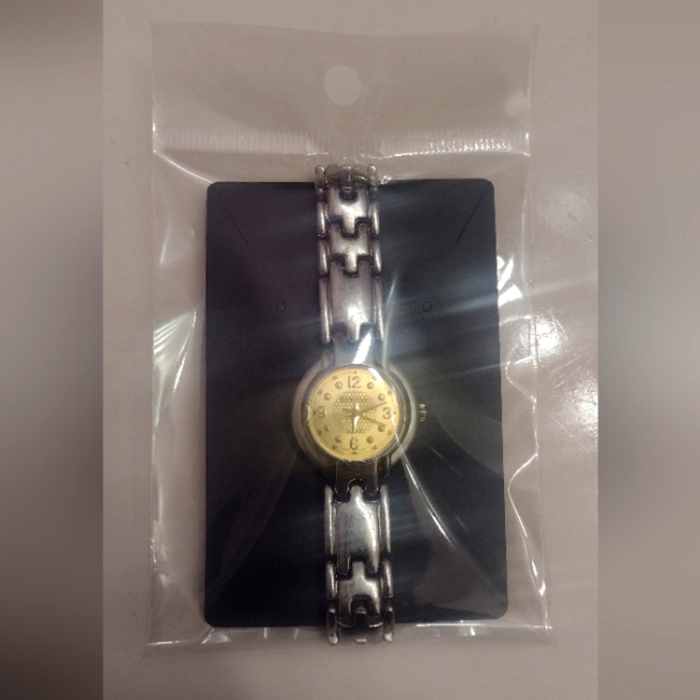 Women's Stainless Steel Silver Tone Geneva Quartz Watch